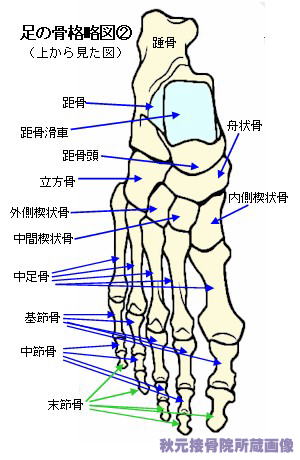 足の甲の痛み 腫れ リスフラン関節症