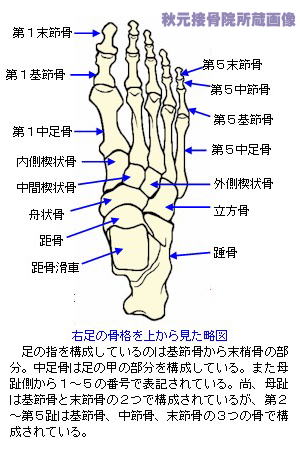内反小趾 バニオネット 足の小指の付け根の痛み 腫れ