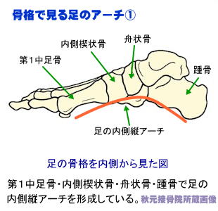 iŌ鑫̃A[`P