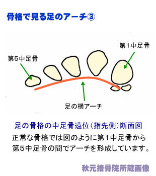 iŌ鑫̃A[`R